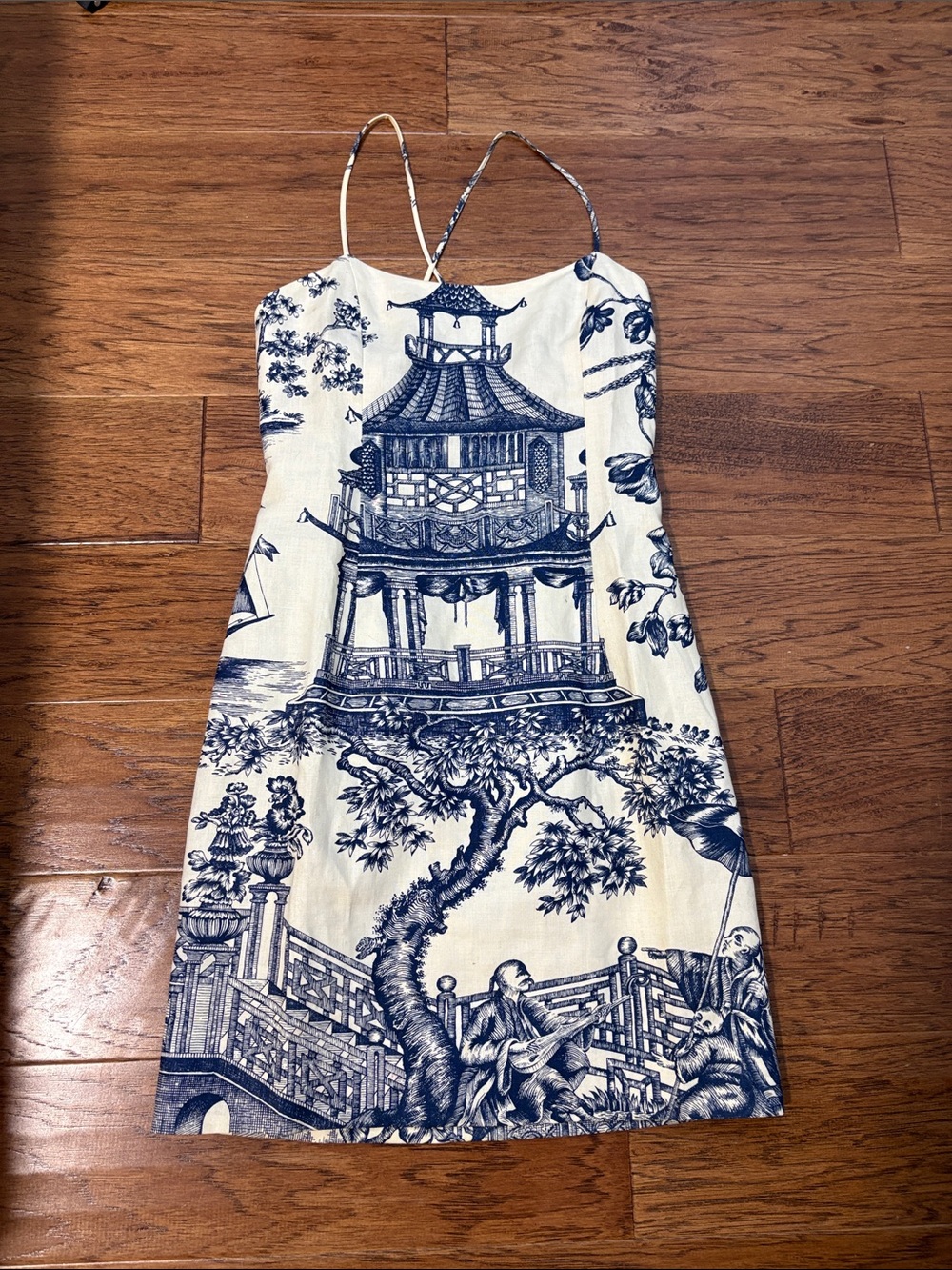 Steven Stolman Blue & White Toile Print Slip Dress